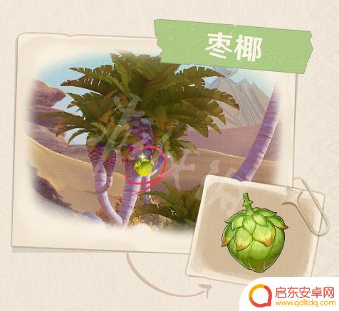 原神沙漠道具果子 原神3.1大赤沙海新特产有哪些