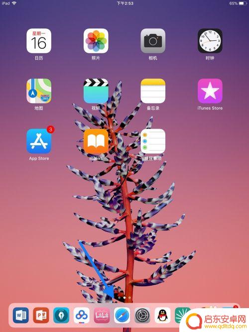 苹果手机怎么查看浏览过的东西 iPhone Safari浏览器如何快速查看浏览历史