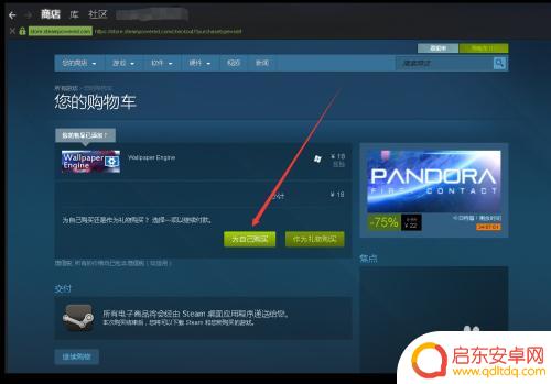 Steam资料背景怎么么?掌握Steam资料背景的关键信息