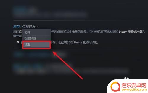 怎么设置steam库不公开 Steam设置不公开显示游戏库存的方法