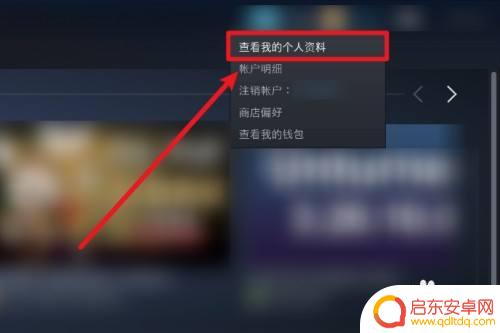 怎么设置steam库不公开 Steam设置不公开显示游戏库存的方法