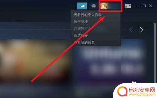 怎么设置steam库不公开 Steam设置不公开显示游戏库存的方法