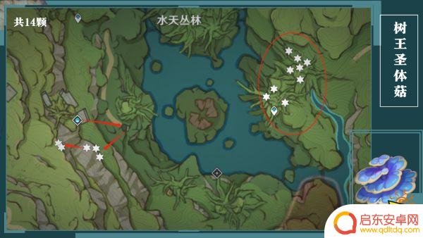 原神树王圣菇位置 原神树王圣体菇全采集图示位置