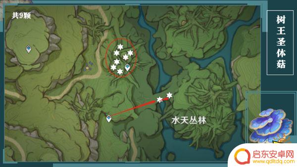 原神树王圣菇位置 原神树王圣体菇全采集图示位置