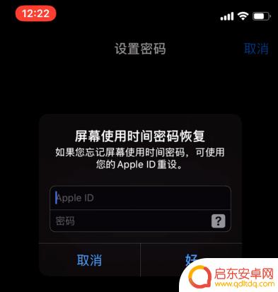 苹果手机怎么加入应用锁 苹果iPhone手机如何设置应用程序锁定密码