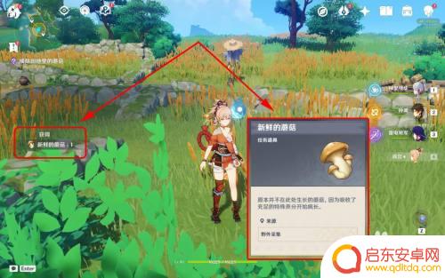 原神大蘑菇怎么拿 如何在原神中快速获得新鲜的蘑菇