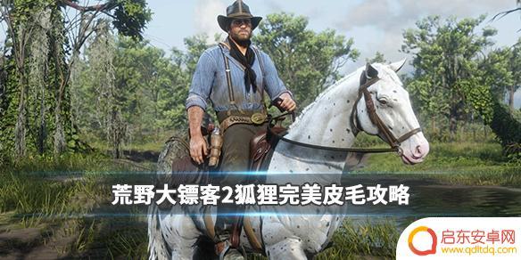 荒野大镖客2传说狐用什么打 狐狸完美皮毛攻略指南《荒野大镖客2》