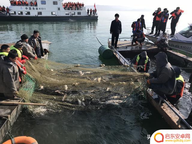 水库捕鱼视频抖音(水库捕鱼视频抖音版)