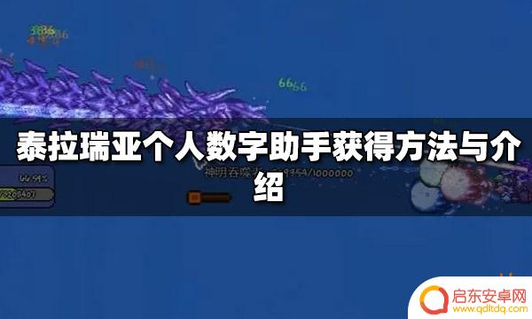 泰拉瑞亚个人信息助手怎么获得 泰拉瑞亚个人数字助手功能介绍