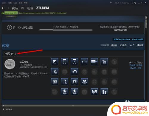 steam没徽章 Steam个人资料中如何查看徽章
