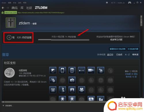 steam没徽章 Steam个人资料中如何查看徽章