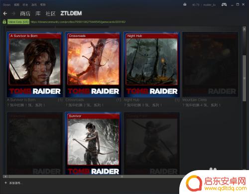 steam没徽章 Steam个人资料中如何查看徽章