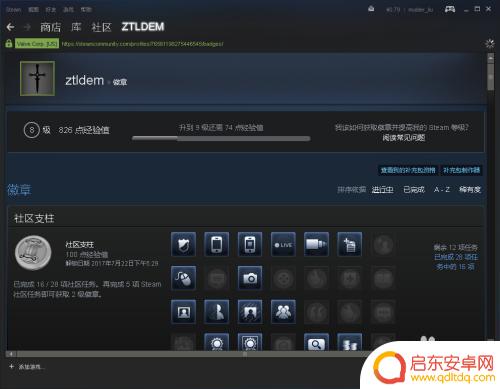 steam没徽章 Steam个人资料中如何查看徽章