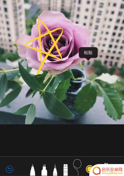 苹果手机照片线条图标怎么设置 苹果手机如何在照片上画圈