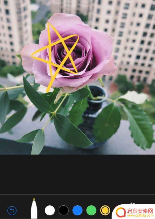 苹果手机照片线条图标怎么设置 苹果手机如何在照片上画圈