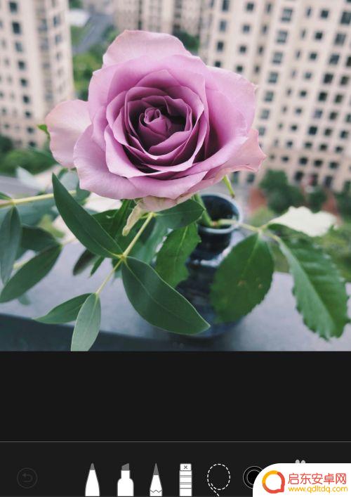 苹果手机照片线条图标怎么设置 苹果手机如何在照片上画圈