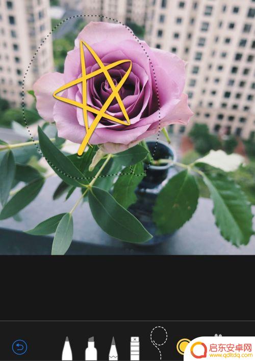 苹果手机照片线条图标怎么设置 苹果手机如何在照片上画圈