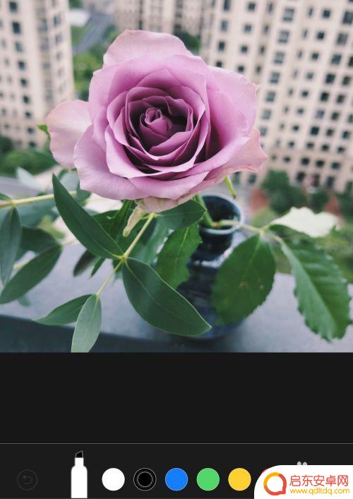 苹果手机照片线条图标怎么设置 苹果手机如何在照片上画圈