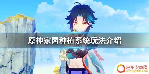 怎么在原神里麦田 家园种植系统怎么玩