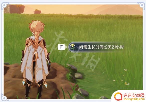 原神的种子怎么种 原神家园种植系统怎么玩
