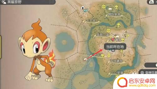 宝可梦大探险怎么引出小火猴 宝可梦传说阿尔宙斯小火猴属性介绍