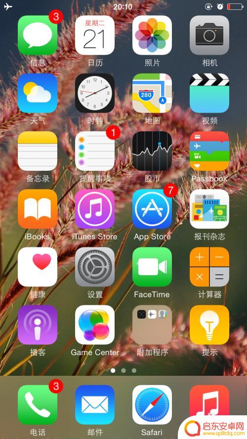 苹果手机的硬件参数在哪里看 怎么查看iPhone手机的内存大小