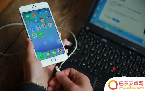 如何到处苹果手机的内容 iPhone苹果手机如何备份文件到电脑