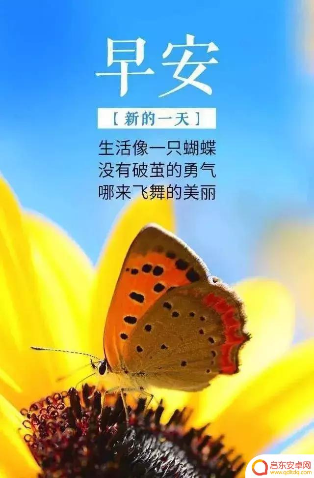 抖音性感句子短句(抖音性感的句子)