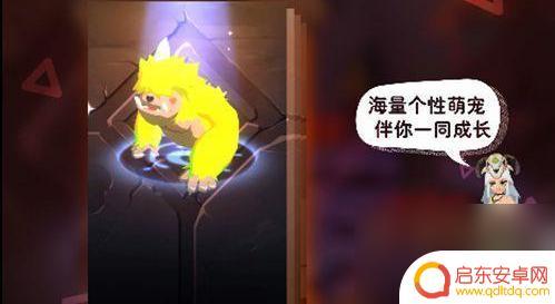 不休的乌拉拉怎么抓超高资质宠物 不休的乌拉拉怎么抓超高资质宠物攻略