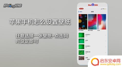 个人设置苹果手机壁纸怎么设置 苹果手机壁纸设置步骤