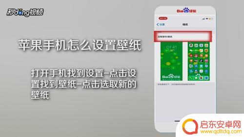 个人设置苹果手机壁纸怎么设置 苹果手机壁纸设置步骤