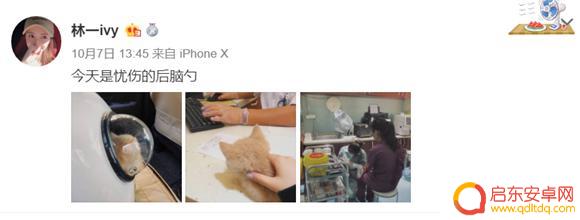 抖音 女主播 宠物 不适(抖音直播宠物违规吗)