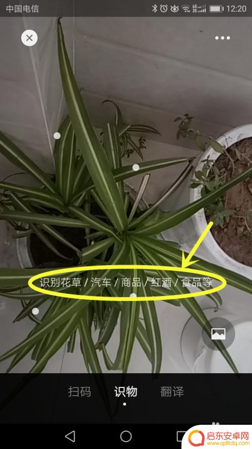 手机如何扫描识别百草 手机扫一扫识别花草app