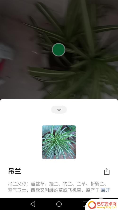 手机如何扫描识别百草 手机扫一扫识别花草app