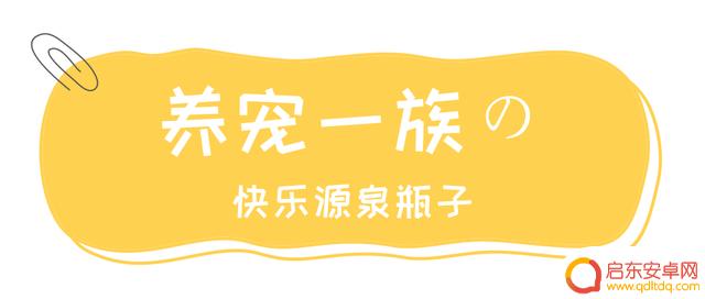 抖音快乐瓶是什么(抖音快乐瓶子)