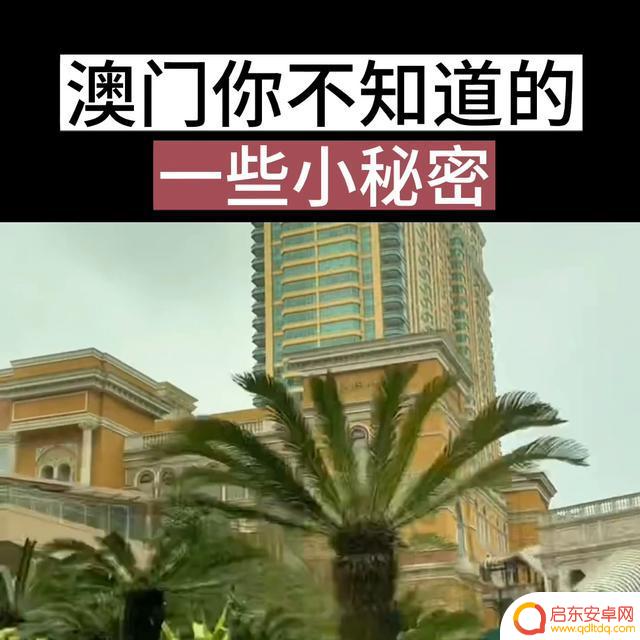 澳门本地生活抖音(澳门本地生活抖音怎么赚钱)