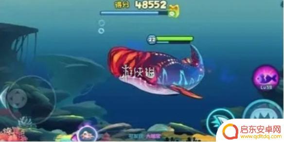 鱼吃鱼怎么样快速解锁更多鱼 鱼吃鱼游戏快速解锁所有鱼攻略