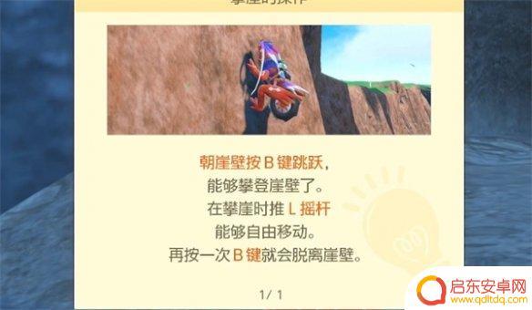 宝可梦朱紫攀岩技能 宝可梦朱紫攀岩能力怎么用