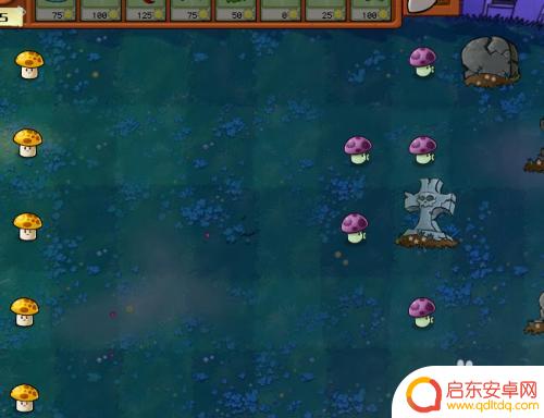 植物大战僵尸怎么2-2 植物大战僵尸2-2怎么过