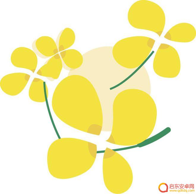 手机怎么填报专科志愿 如何选择适合自己的大学