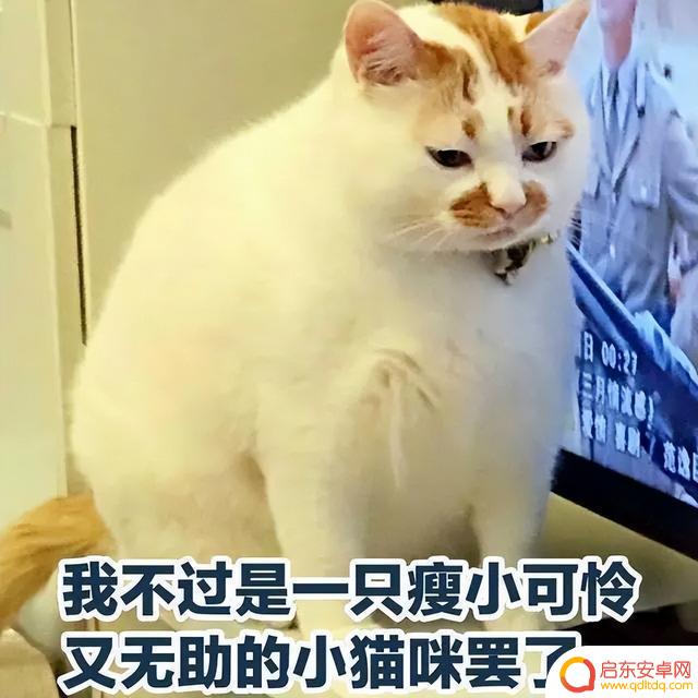 Steam夏促捡漏攻略!骨折大作查漏补缺看这就够了!