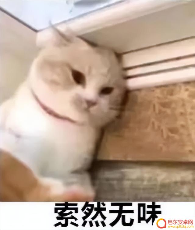 Steam夏促捡漏攻略！骨折大作查漏补缺看这就够了！