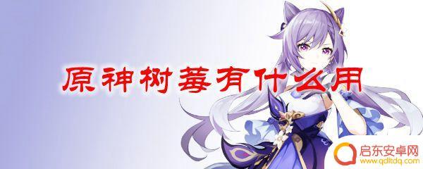 原神的树莓怎么使用 原神树莓有什么用途