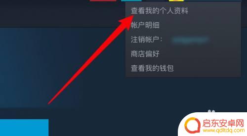 steam怎么对好友隐藏部分库存 Steam如何将库存设置为私密状态