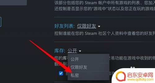 steam怎么对好友隐藏部分库存 Steam如何将库存设置为私密状态