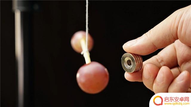 抖音水果电池制作(抖音水果电池制作视频)