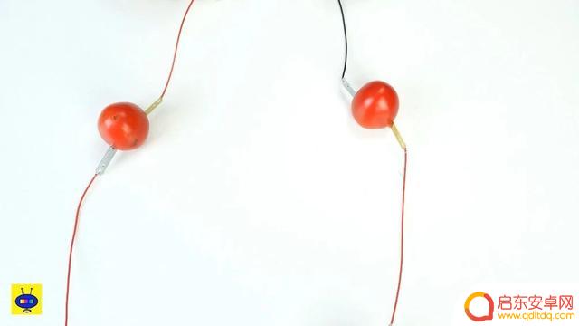 抖音水果电池制作(抖音水果电池制作视频)