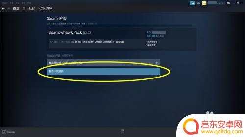 steam dlc可以退款吗 Steam购买的DLC退款政策解读