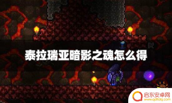 泰拉瑞亚怎么收集魂 泰拉瑞亚暗影之魂获取要求详解