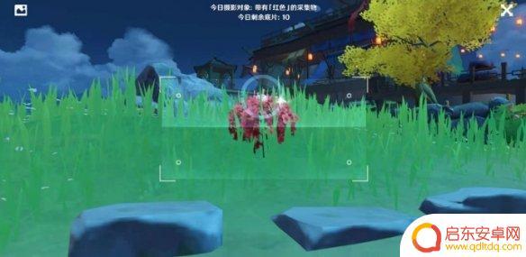 原神中怎么用留影机 《原神手游》留影机拍照技巧
